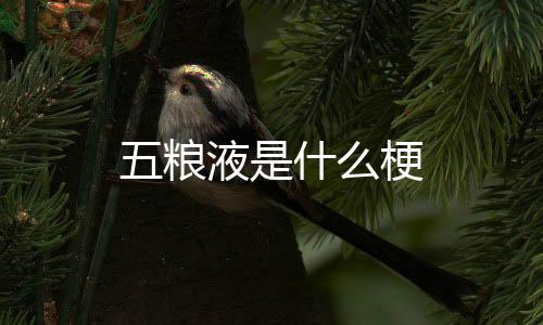 液是五粮梗什么