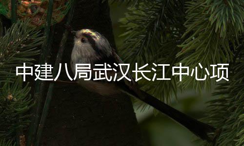 大会八局武汉长江举行中建中心项目千人誓师